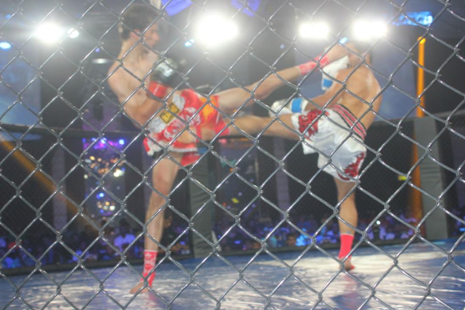 Cage Fighters (MMA and K1) Pictures